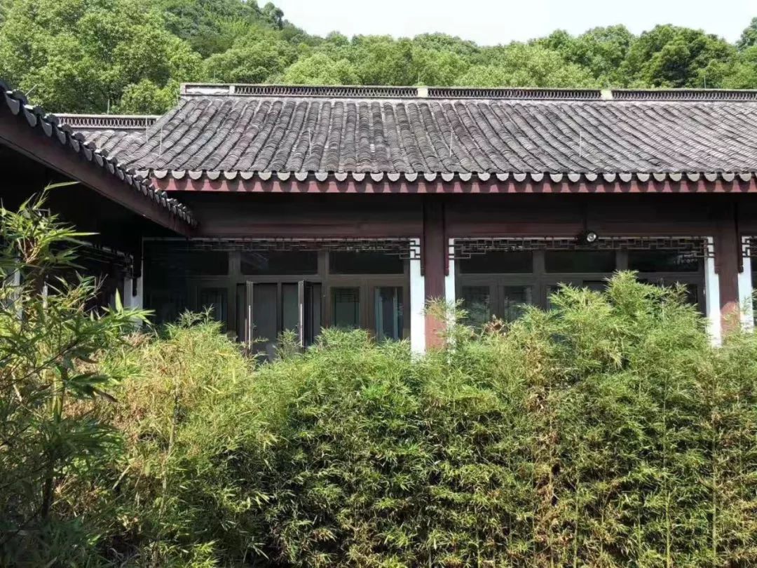 重磅 | 全球首家沸石體驗館正式開放-國投盛世