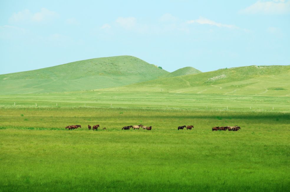 國投盛世“皇家獵苑·草原行”團建活動圓滿結束-國投盛世