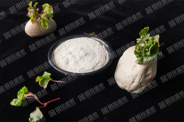 目前沸石飼料添加劑價(jià)格是多少？-國(guó)投盛世