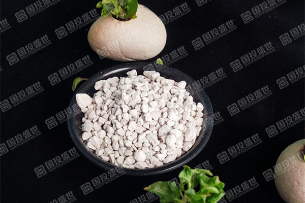 種植多肉植物時應(yīng)用沸石的好處-國投盛世