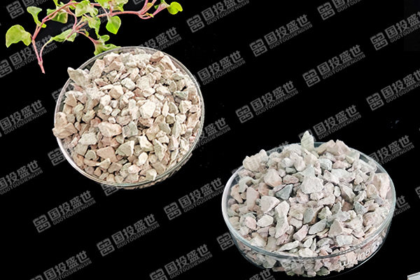 天然沸石如何助力番茄種植邁向綠色高效？-國投盛世