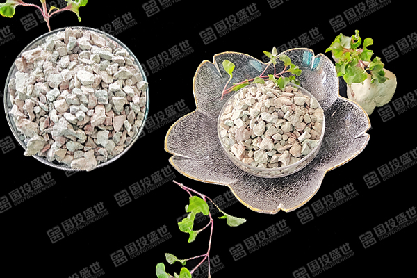 沸石在蟶子養殖中有哪些好處？-國投盛世