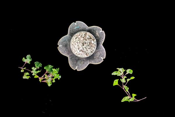 天然沸石對油菜種植有什么影響？