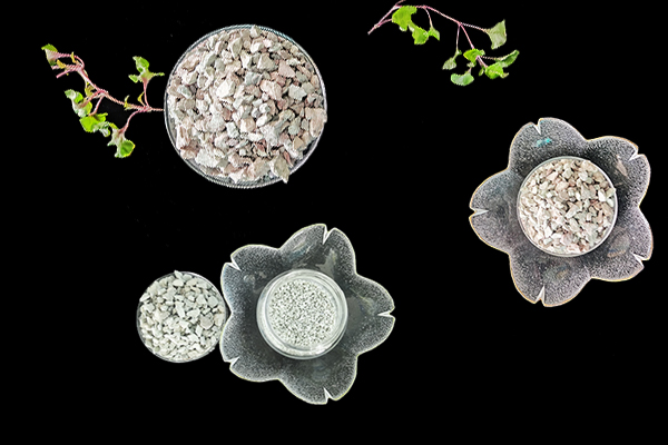 沸石能為芥菜增產(chǎn)提供幫助嗎？-國投盛世