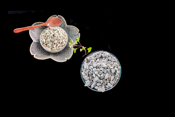種植魔芋時加入沸石能提高產量嗎？-國投盛世
