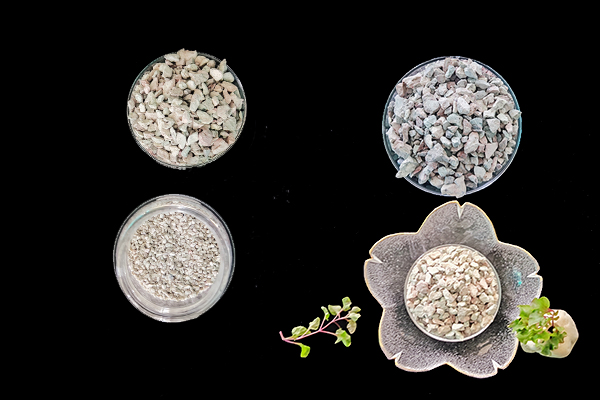菠菜種植階段能使用沸石嗎？-國(guó)投盛世